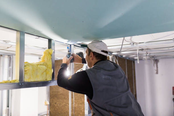 Best Professional Insulation Contractor  in Hillsborough, NJ