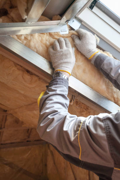 Best Insulation Inspection Services  in Hillsborough, NJ