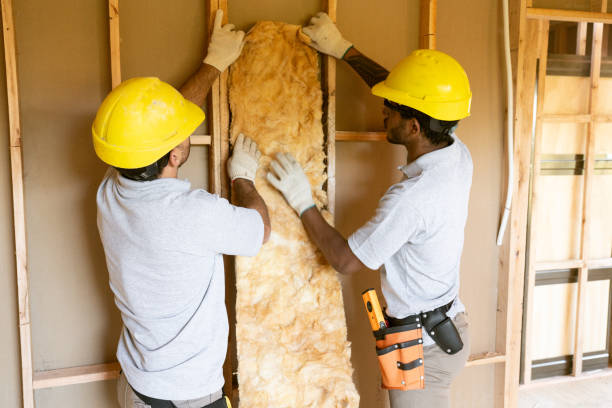 Best Insulation Contractors for Homes  in Hillsborough, NJ