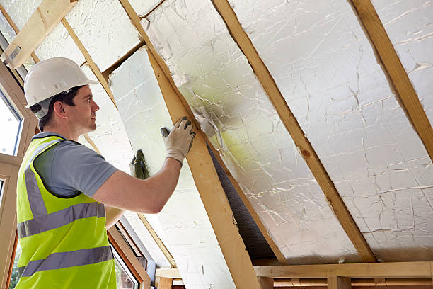 Best Local Insulation Services  in Hillsborough, NJ